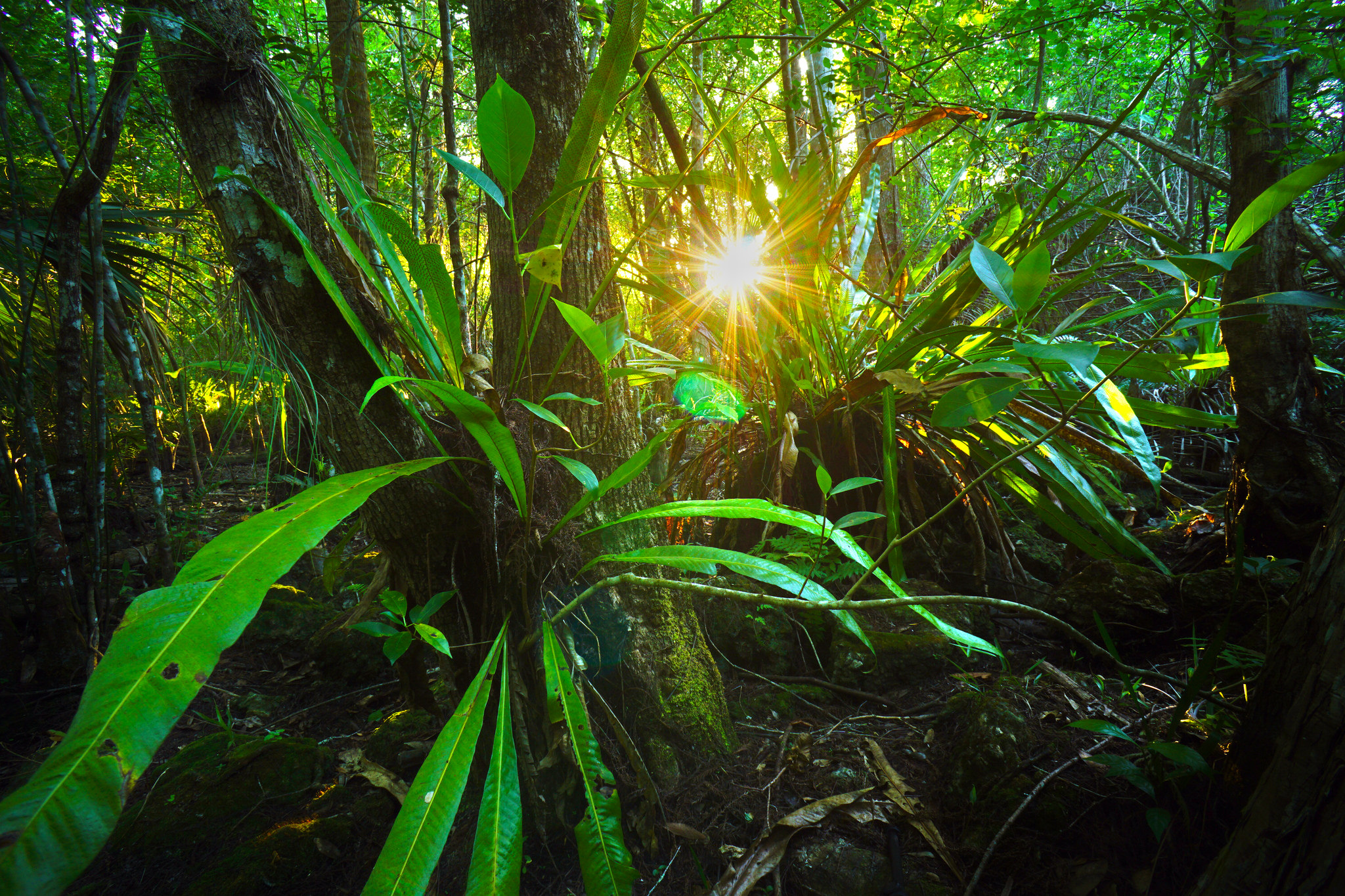 South Florida’s National Parks & Preserve Sign Institute Agreements