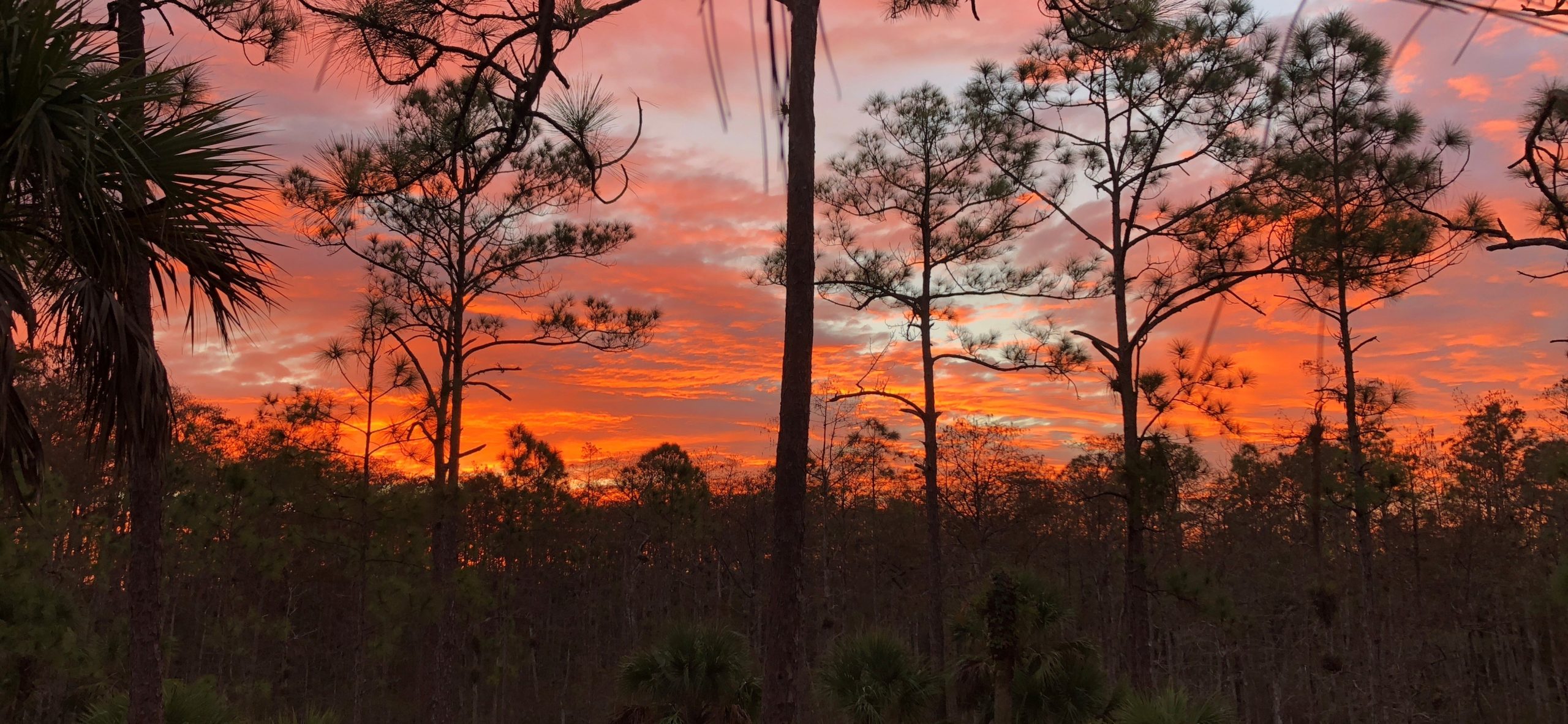 A Brief History of Big Cypress National Preserve