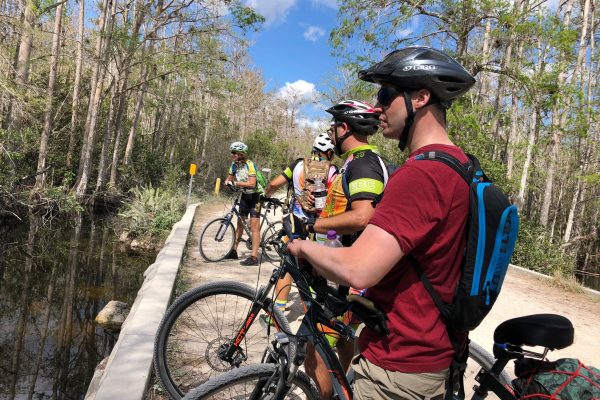 Guiding a Bike Tour along Loop Road Guiding a Bike Tour along Loop Road