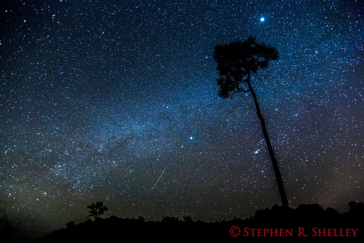 International Dark Sky Week 2021