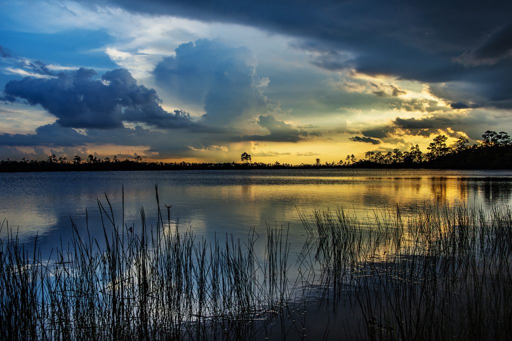 National Park Week Activities Calendar