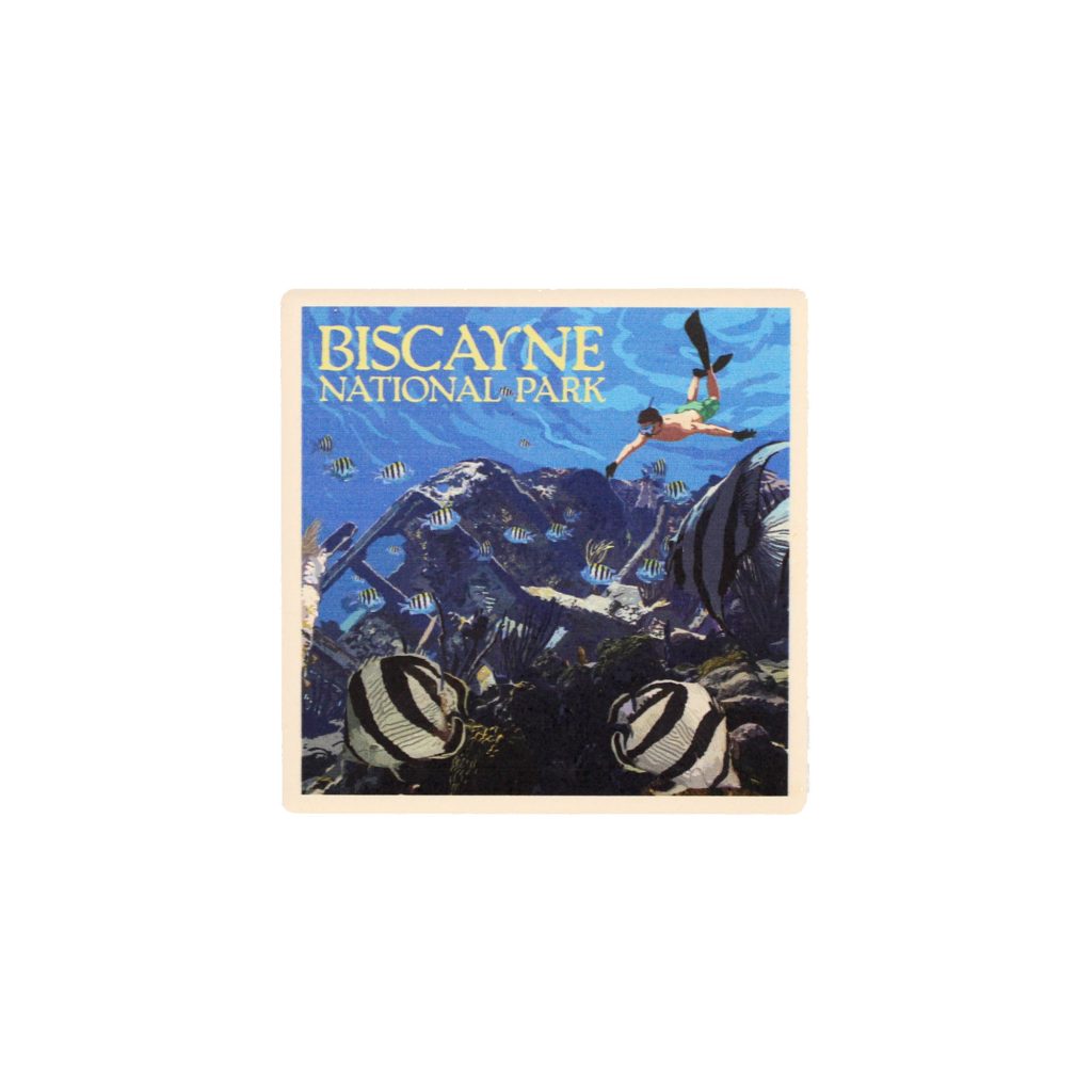 Coaster - Biscayne National Park Art Underwater Snorkeler