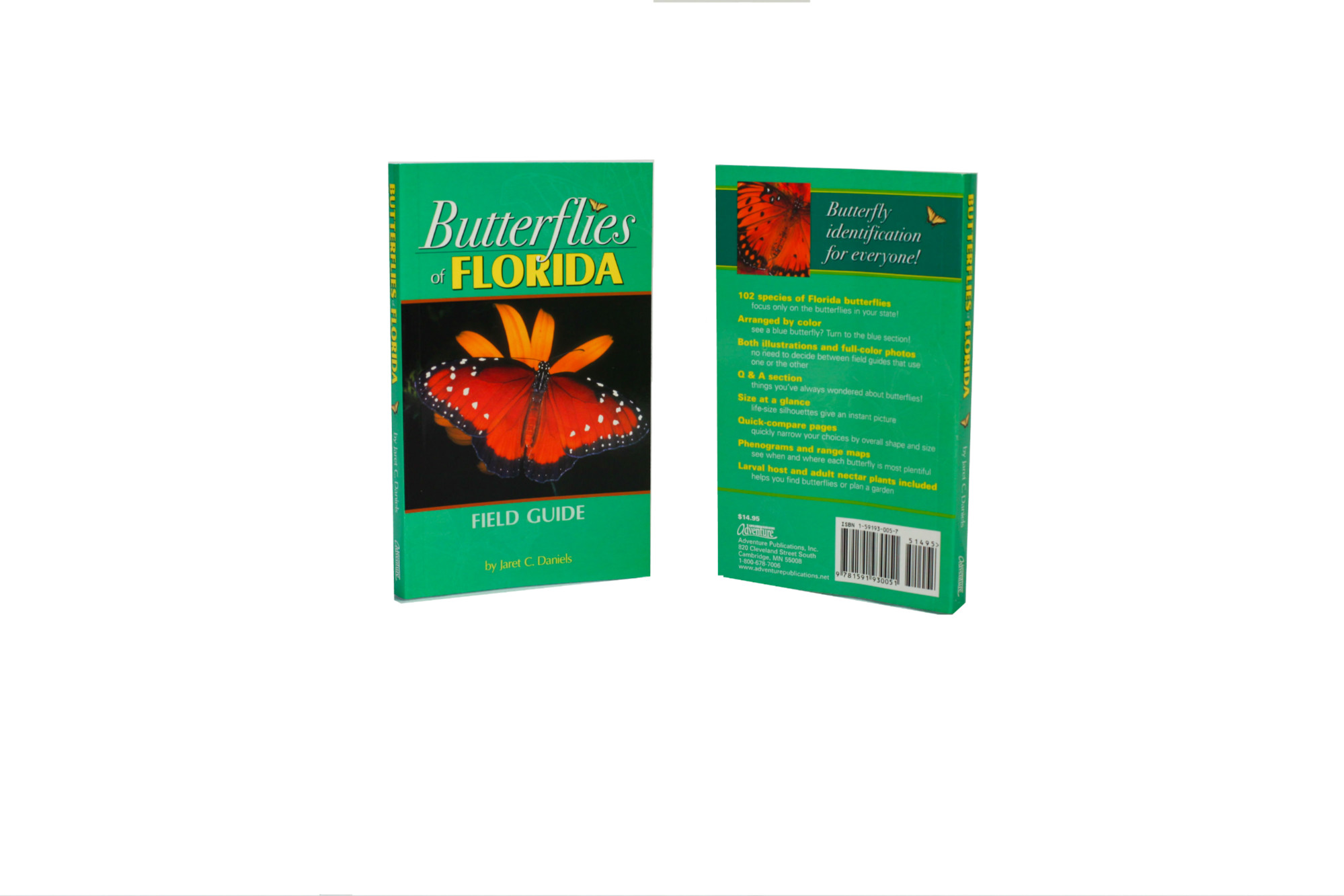 Butterflies Of Florida Field Guide