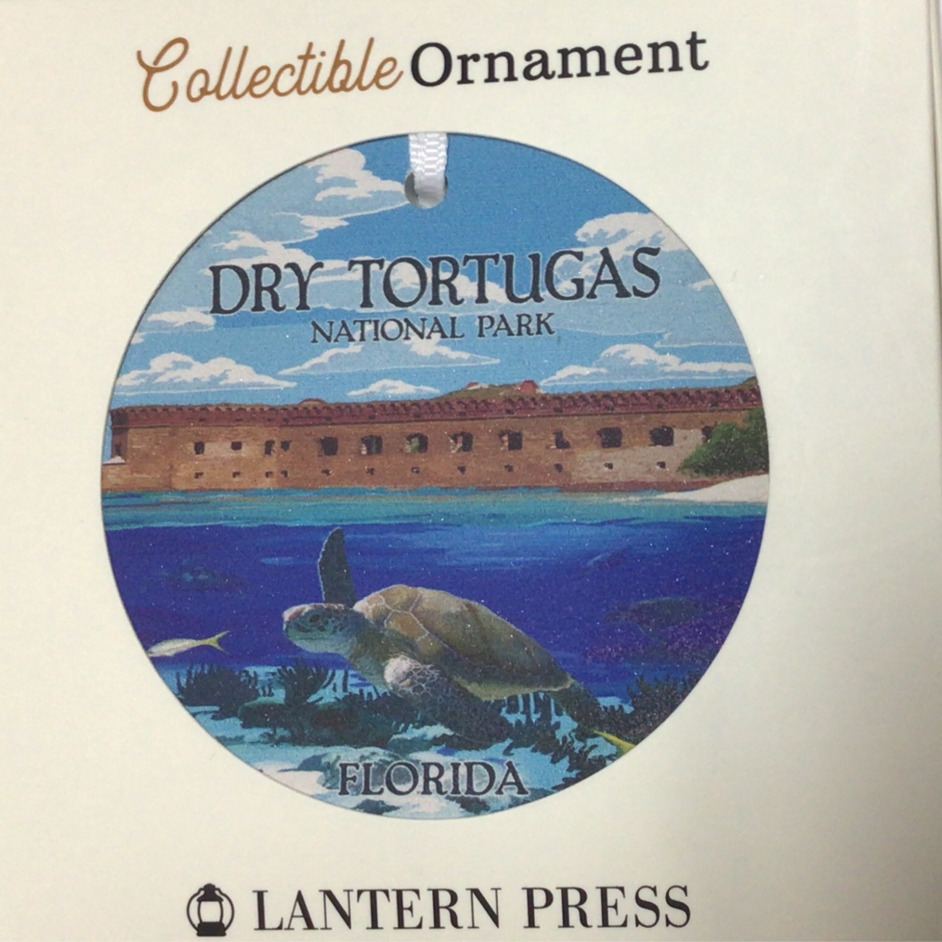 Ornament- Dry Tortugas Sea Turtle