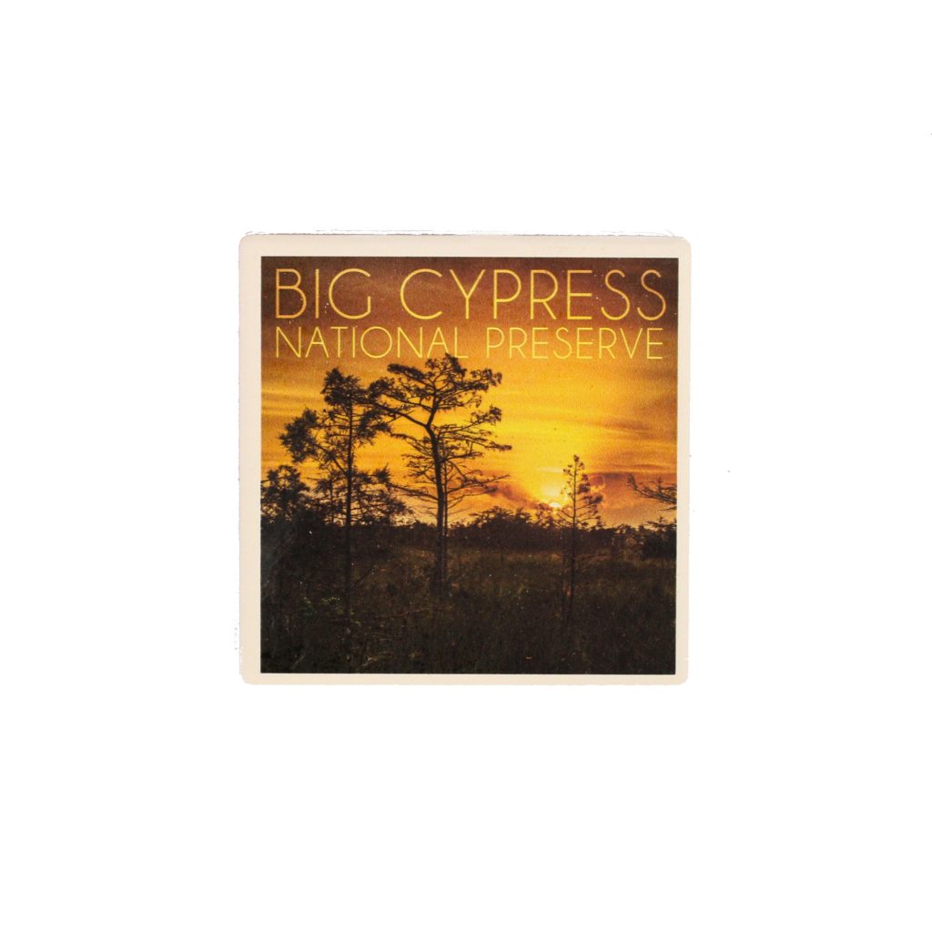 Coaster - Big Cypress Photo Dwarf Cypress in Prairie Sunrise
