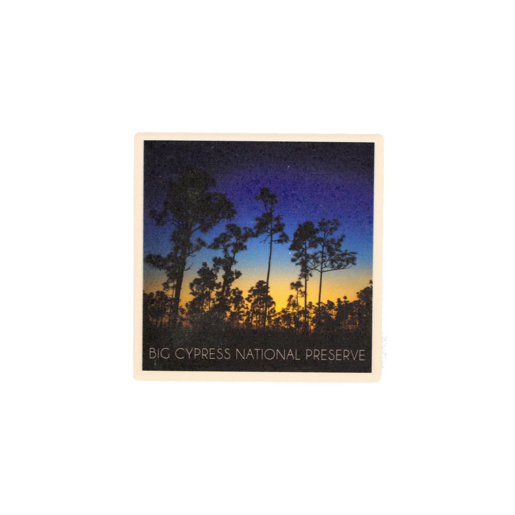 Coaster - Big Cypress Pine Tree Sunset