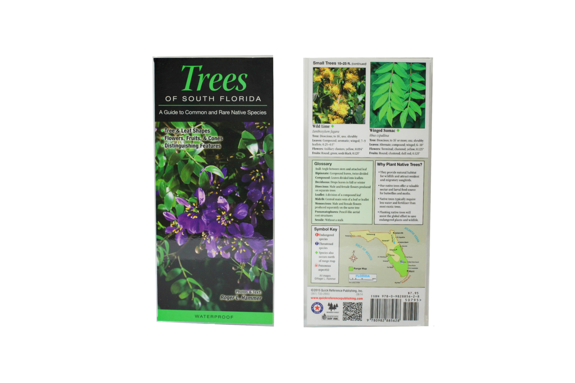 Wp- Trees of South Florida