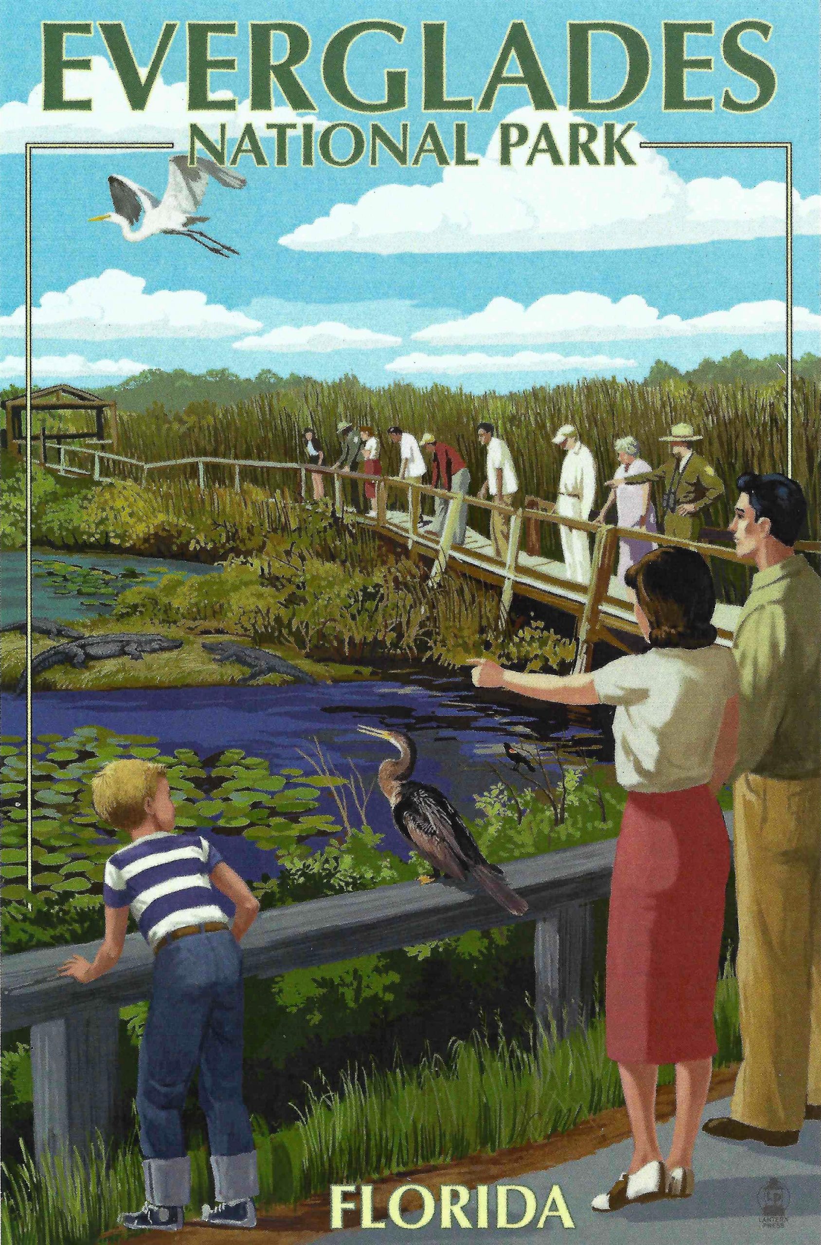 Magnet- Anhinga Trail, Everglades