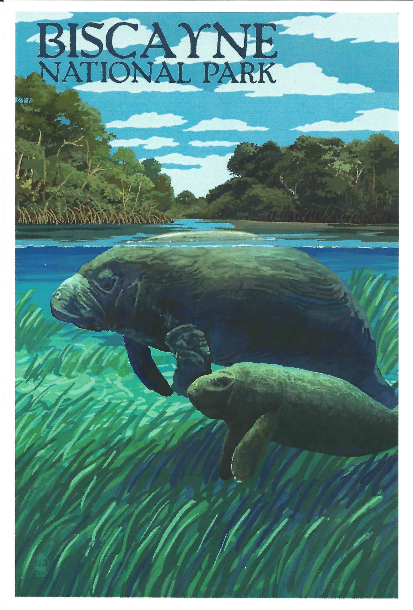 Magnet- Manatee & Mangroves Art, BIscayne