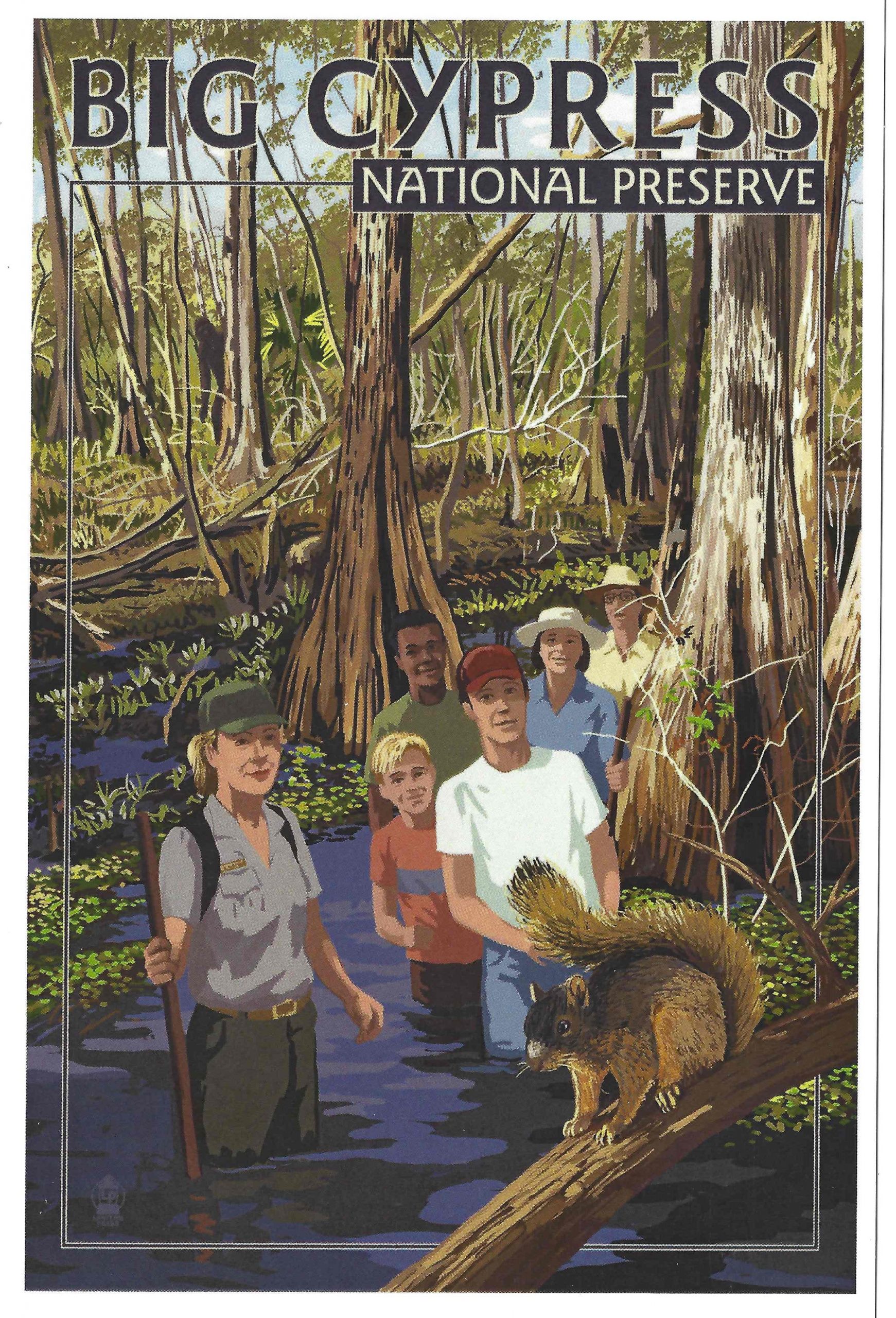 Magnet- Art Swamp Walk, Big Cypress- Discontinued