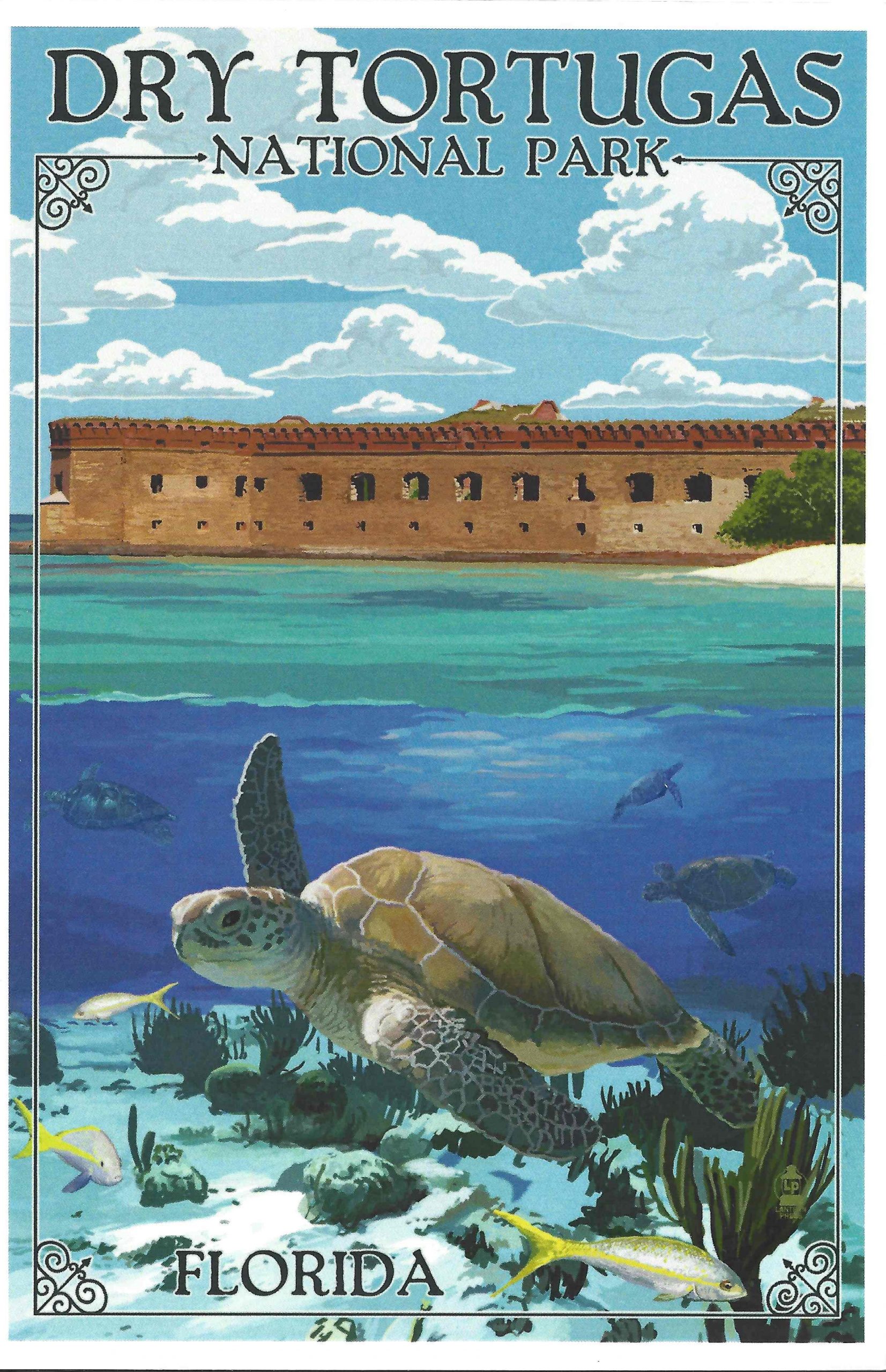 Magnet- Sea Turtle Art, Dry Tortugas