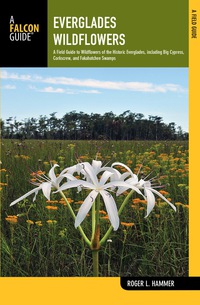 A Falcon Guide- Everglades Wildflowers 2nd Edition A Field Guide to Wildflowers of the Historic Everglades, including Big Cypress, Corkscrew, and Fakahatchee Swamps