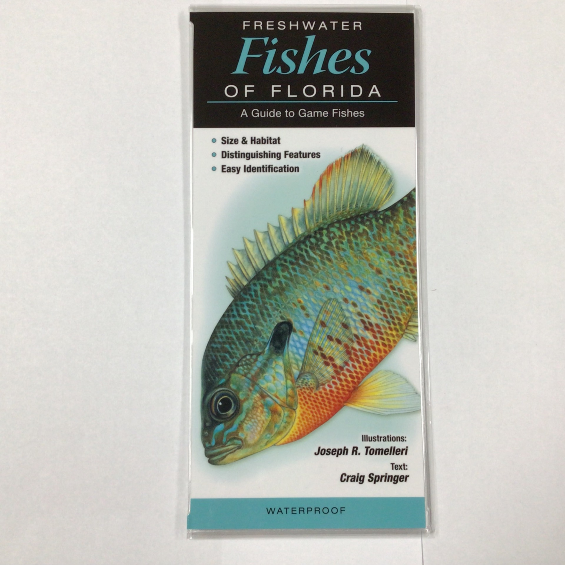 Wp- Freshwater Fish of Florida Field Guide