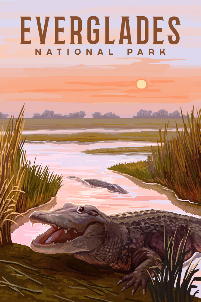 Coaster- Alligator at Sunset