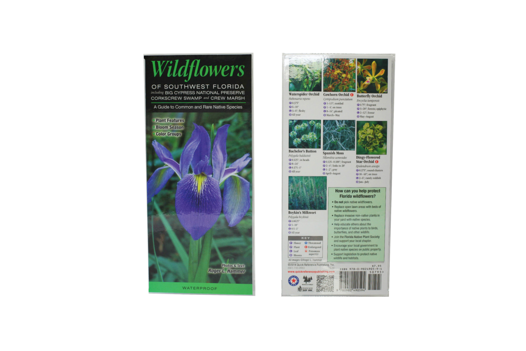 Wp- Wildflowers of Southwest Florida including Big Cypress NP, Corkscrew Swamp & CREW MarshWildflowers Of Sw Florida