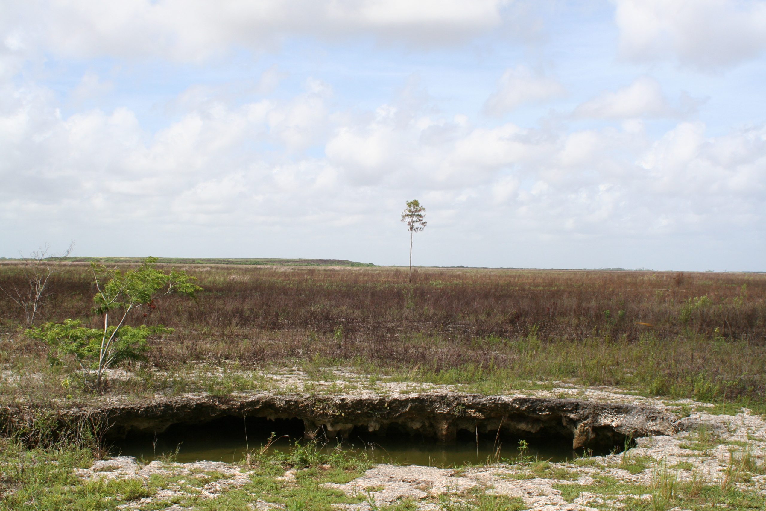 Prescribed burn at Hole-in-the-Donut