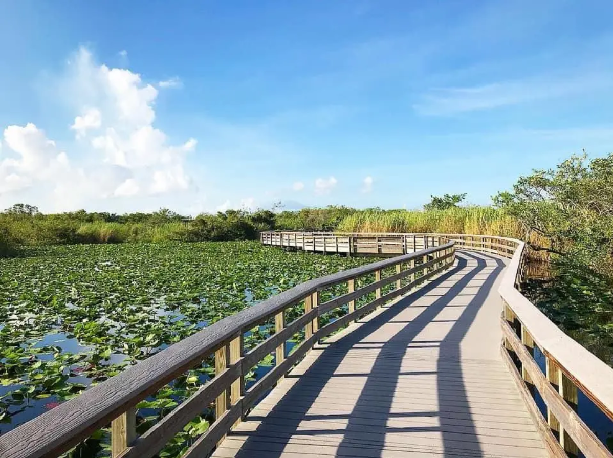 The Wet Season and Dry Season: When is the best time to visit the Everglades?
