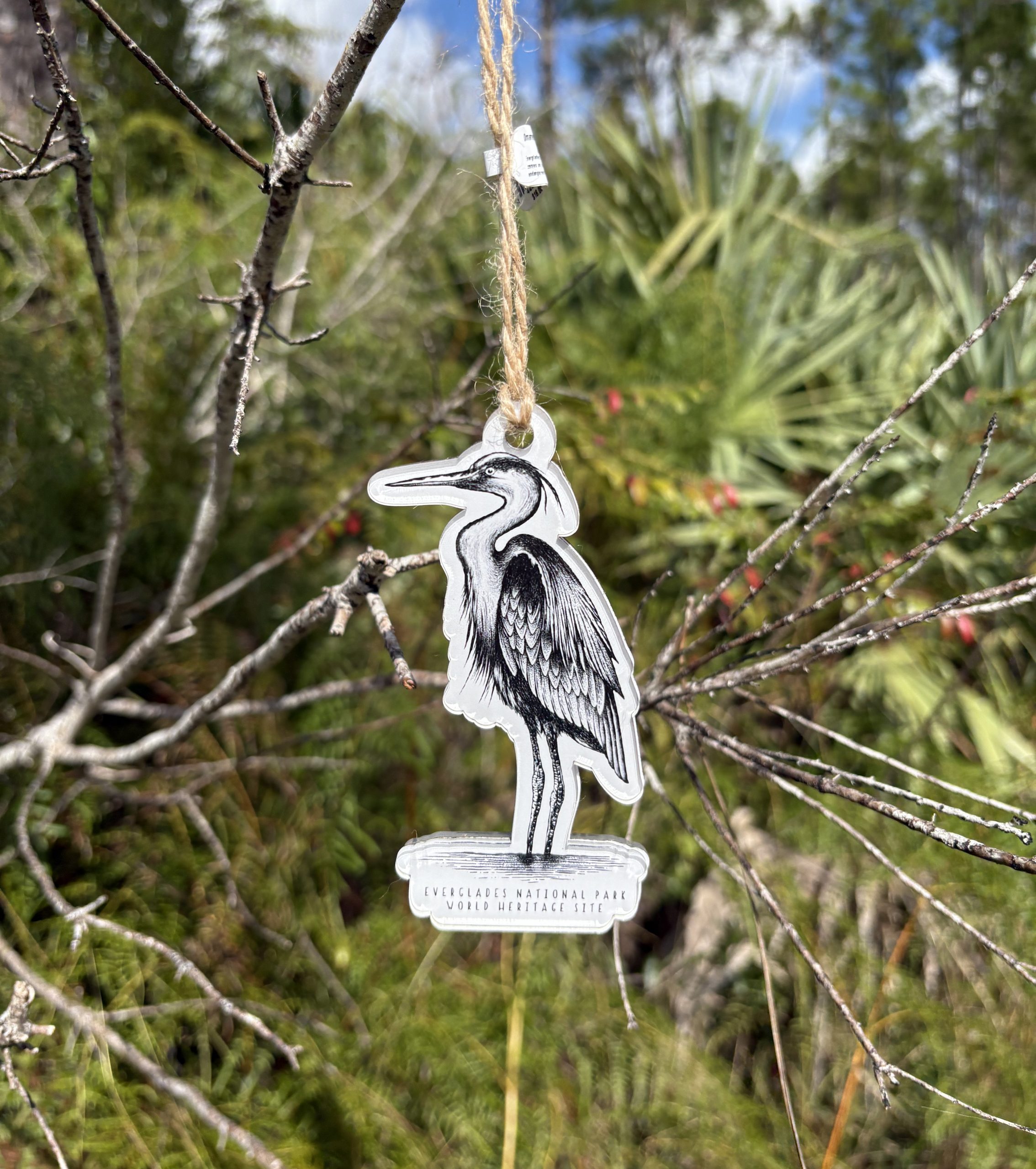 Ornament- Everglades Heron Sketch Acrylic